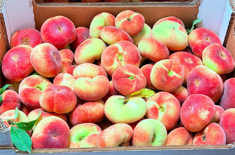 Pesche piatte - Sardegna - da 2,00 a 3,00 euro al chilogrammo